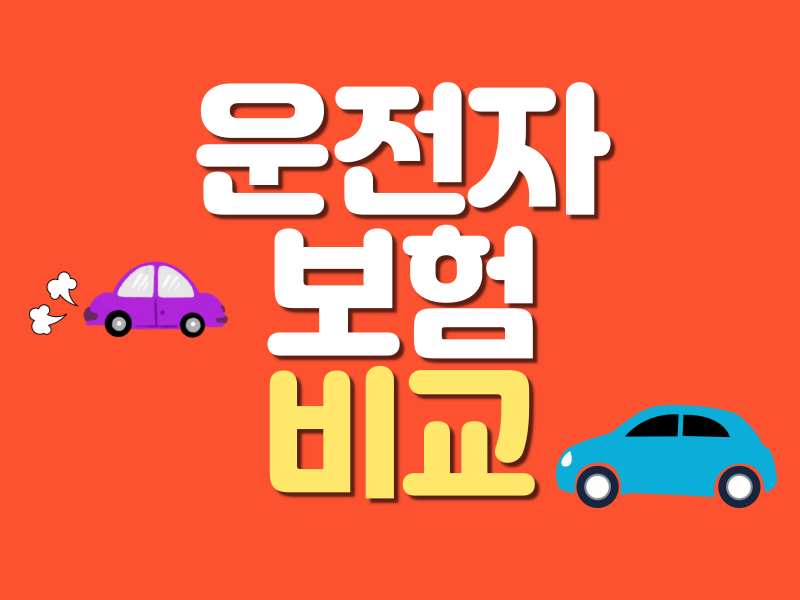 보장항목 요약정리