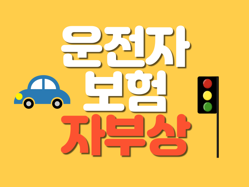 운전자보험 보험사별 비교표